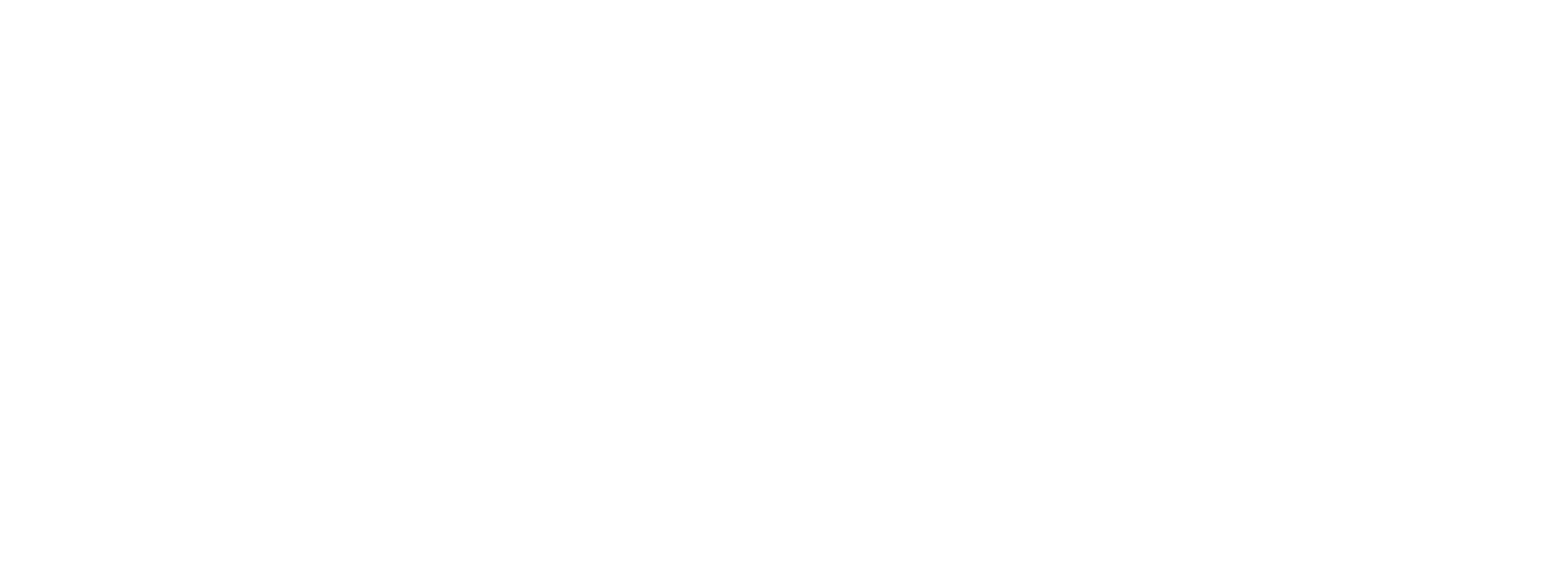 PeoplePlus Enterprise Logo